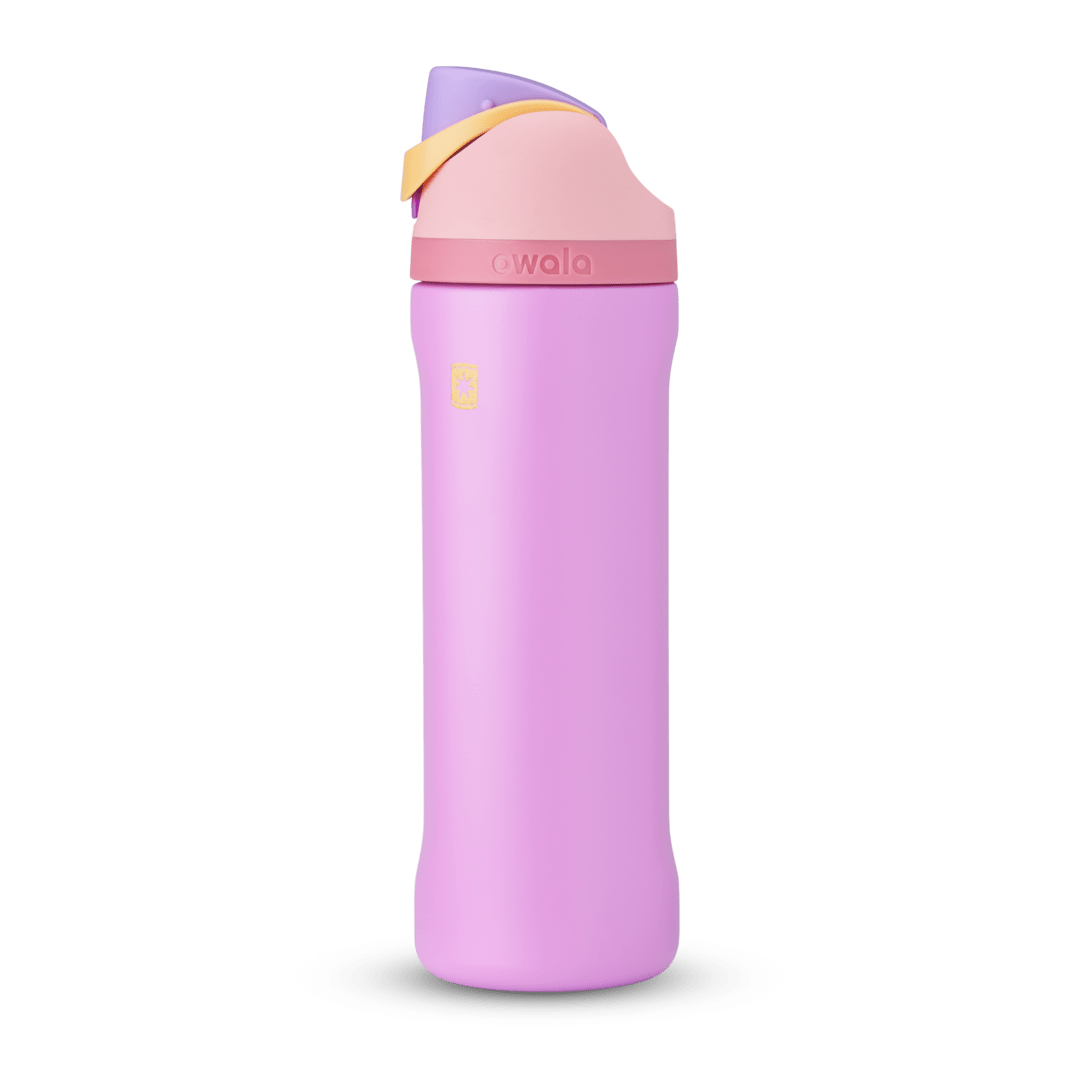 Disney  Princess Collection