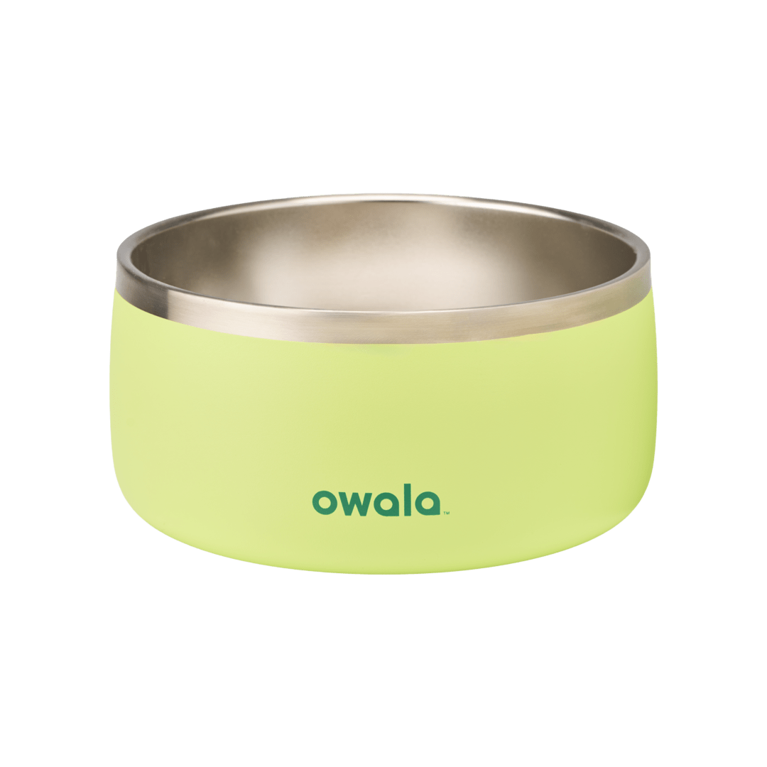 Pet  Bowl