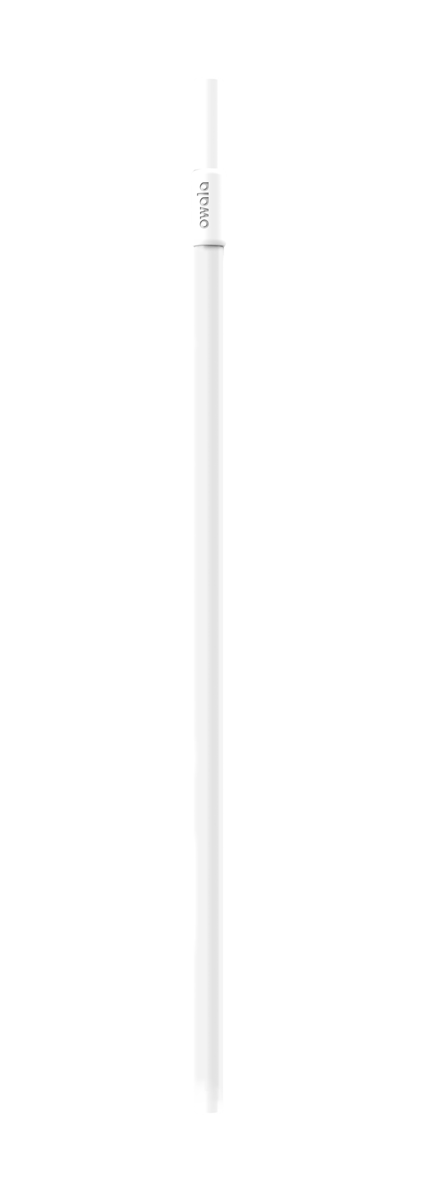 Replacement  Straws