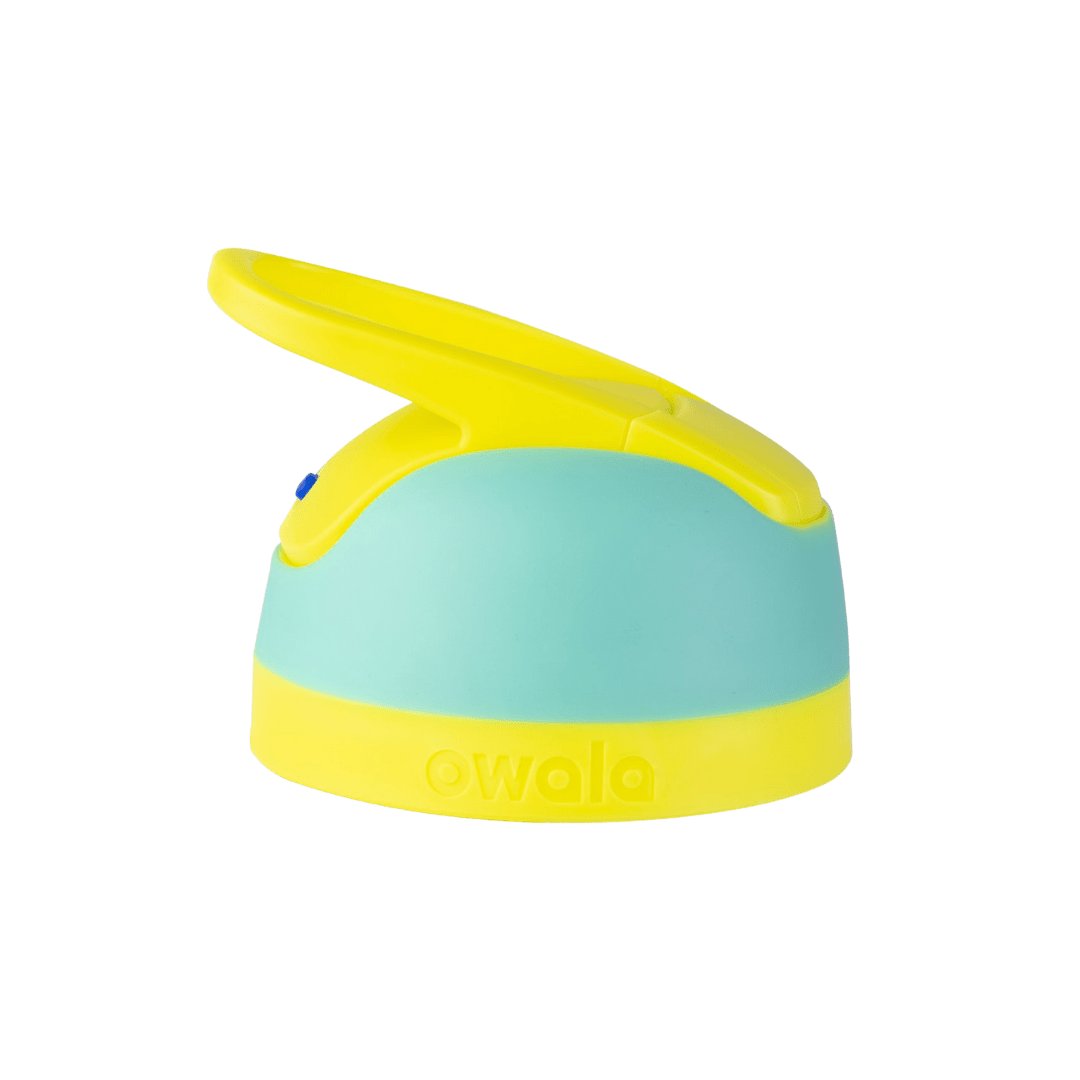 Replacement  Lids