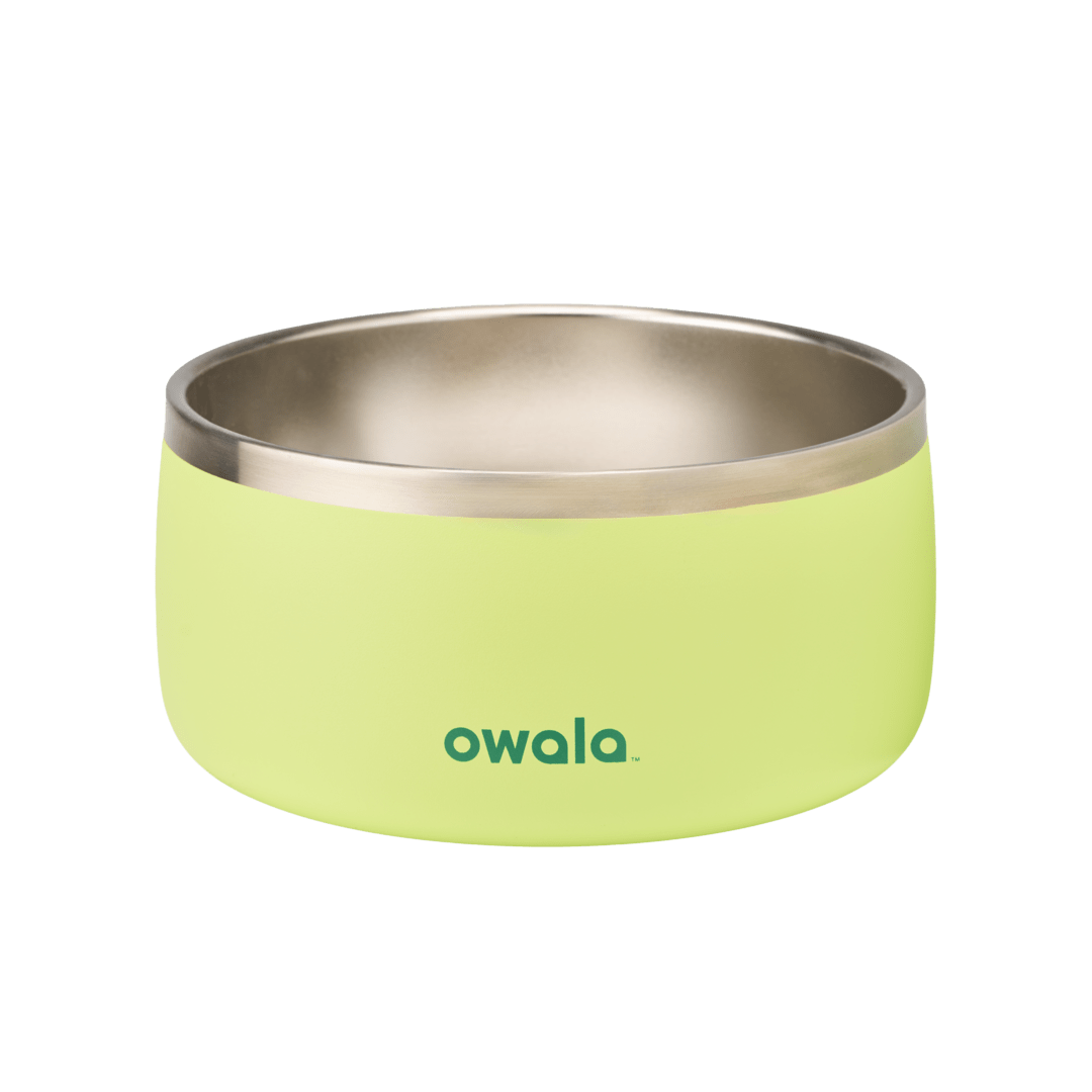 Pet  Bowl